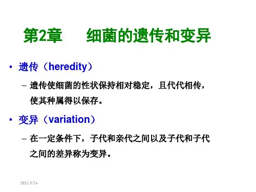 7-第2章细菌的遗传和变异.ppt