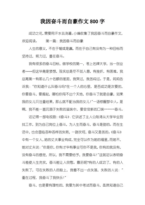 我因奋斗而自豪作文800字