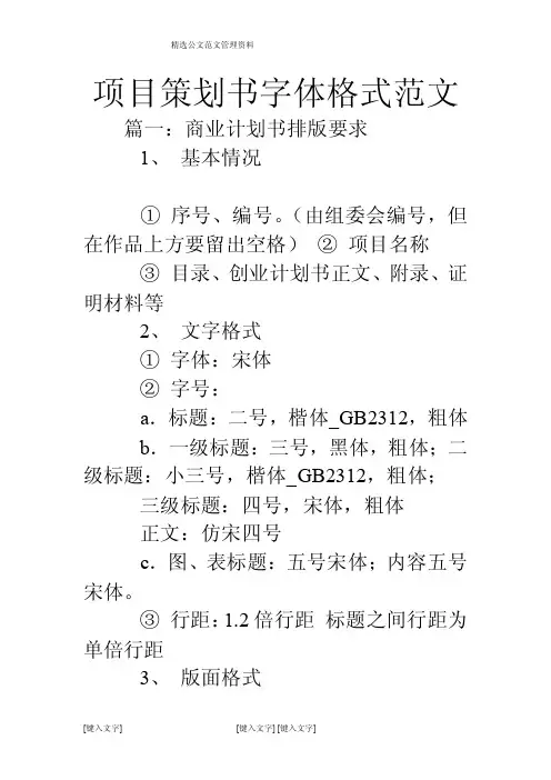 项目策划书字体格式范文