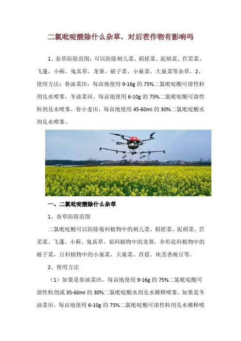 二氯吡啶酸除什么杂草,对后茬作物有影响吗