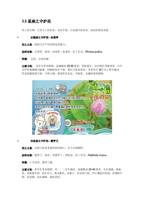 12星座守护花
