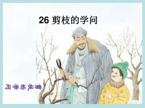 剪枝的学问ppt课件