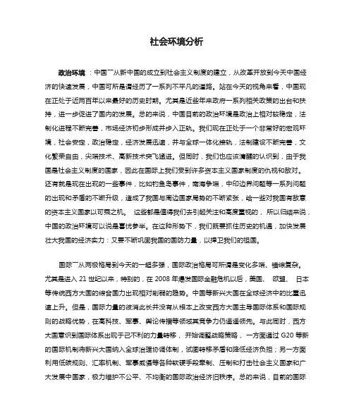 社会环境分析