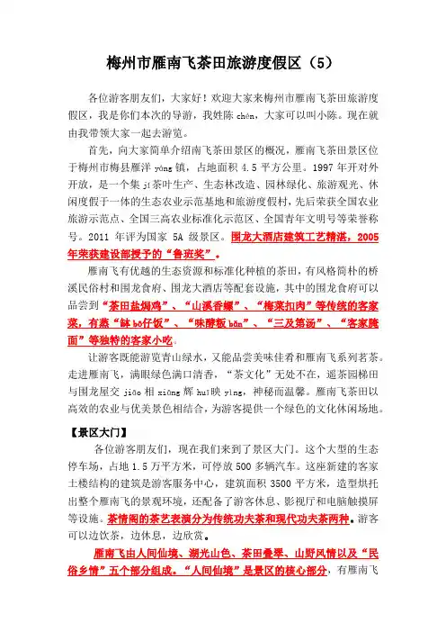 2020年梅州市雁南飞茶田旅游度假区的导游词