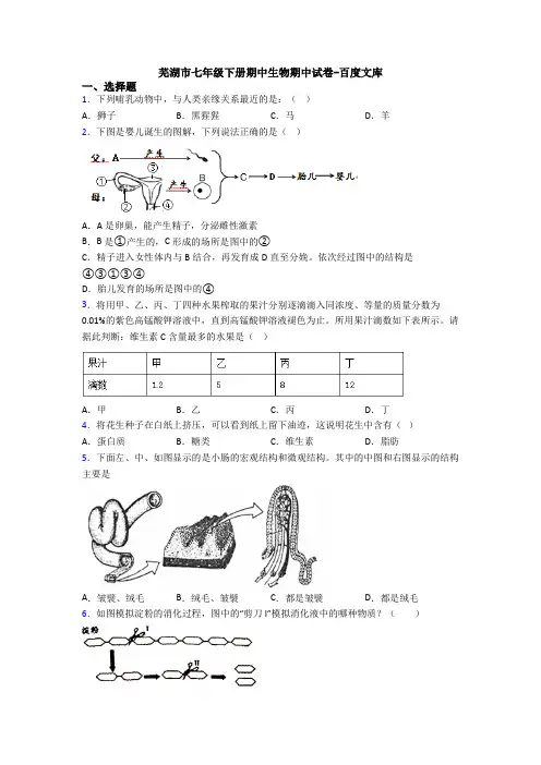 芜湖市七年级下册期中生物期中试卷-百度文库