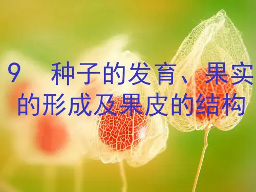 种子的发育、果实的形成及果皮的结构