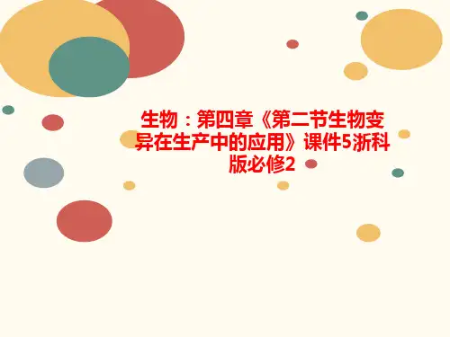 生物：第四章《第二讲义节生物变异在生产中的应用》课件5浙科版必修2