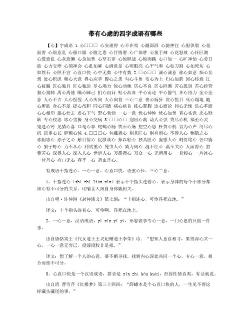 带有心虑的四字成语有哪些
