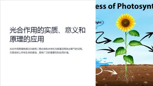 光合作用的实质、意义和原理的应用