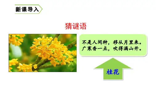五年级上册《桂花雨》PPT优质课件部编版