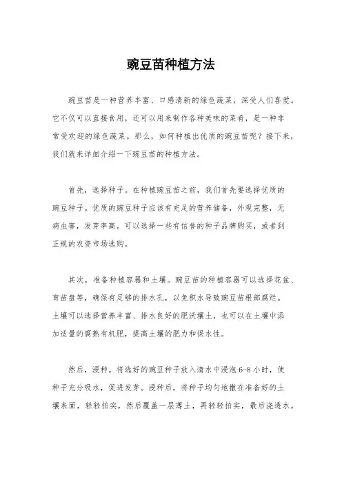 豌豆苗种植方法