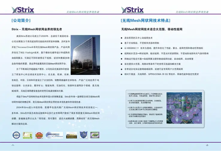Strix系统彩页