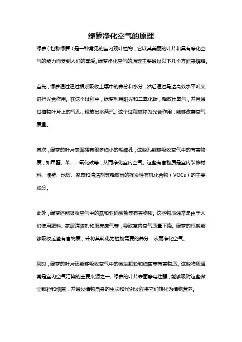 绿箩净化空气的原理