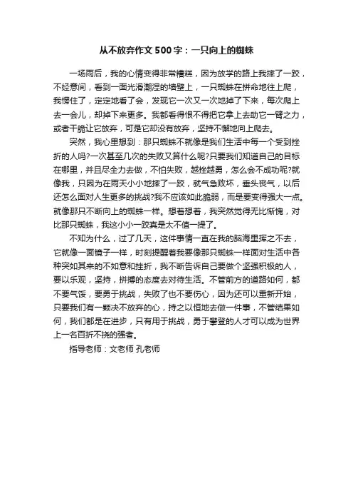 从不放弃作文500字：一只向上的蜘蛛