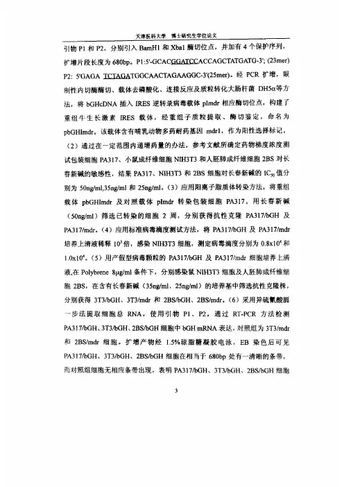 IRES逆转录病毒载体介导的外源基因在成纤维细胞表达的实验研究