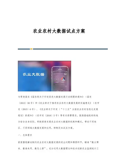 农业农村大数据试点方案