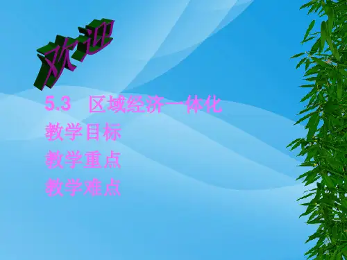 区域经济一体化ppt1 人教版优质课件