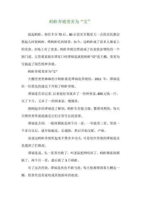 蚂蚱养殖变害为“宝”