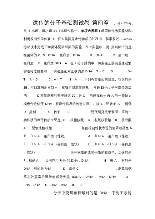 生物必修一第四章测试题