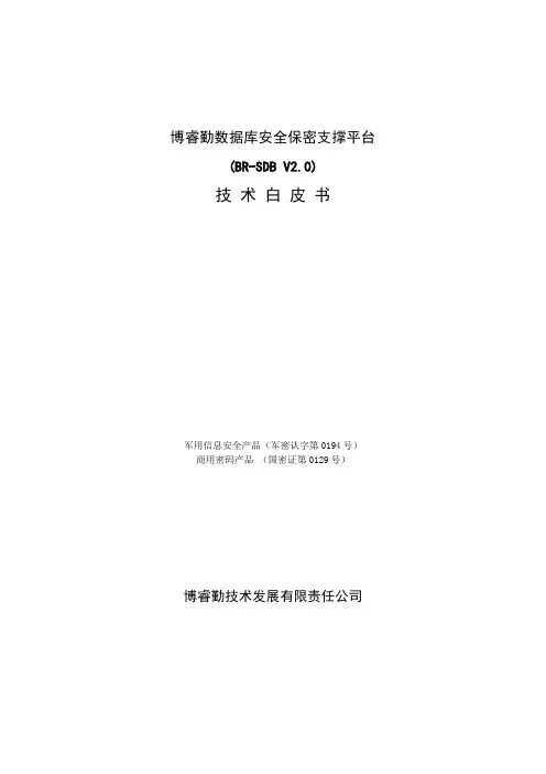 数据库加密系统技术白皮书