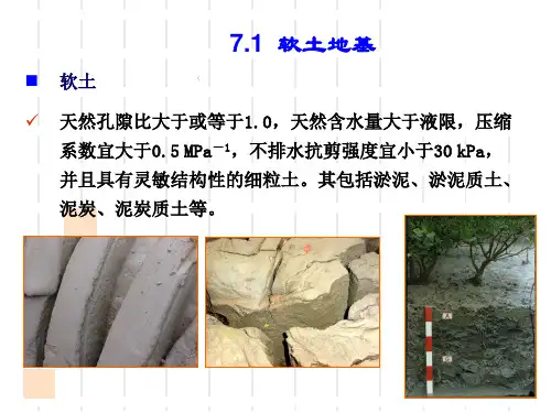 特殊土地基