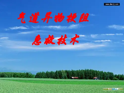 气道异物梗阻急救技术 ppt课件