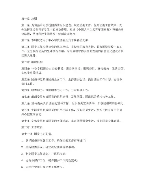中心学校团委管理制度