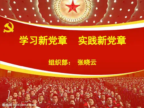 十七大     党章
