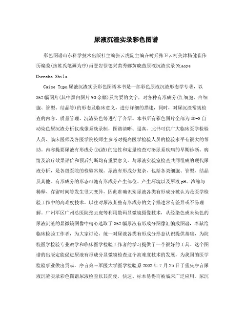 尿液沉渣实录彩色图谱