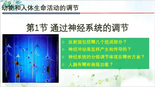 通过神经系统的调节(39张)-PPT优秀课件