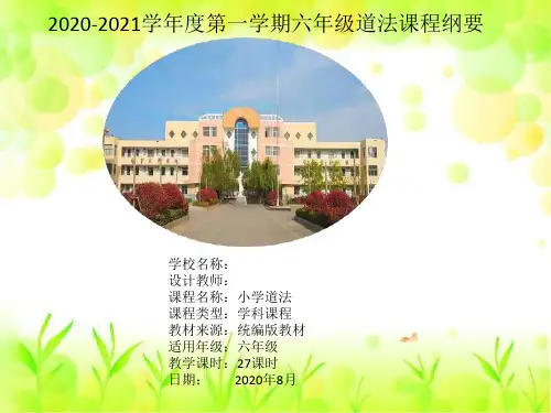 六上道法纲要 