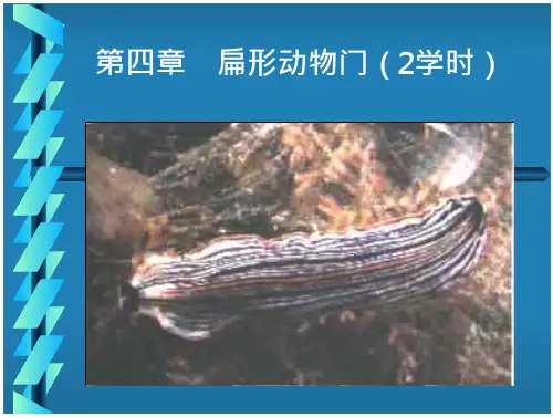 [畜牧兽医]4扁形动物