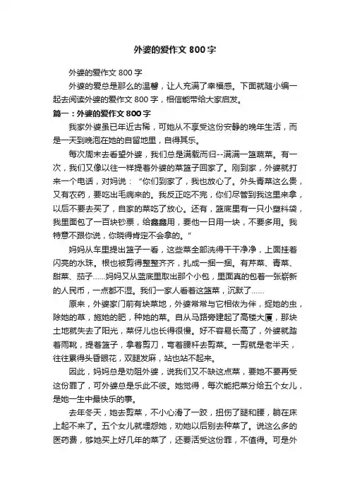 外婆的爱作文800字