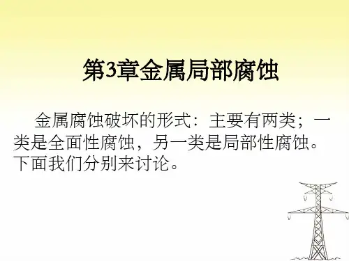 《金属局部腐蚀》PPT课件