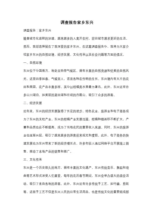 调查报告家乡东兴