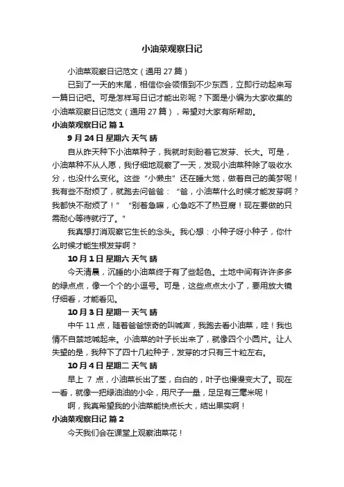 小油菜观察日记范文（通用27篇）