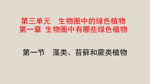 人教版七年级生物上册第三单元第一章习题ppt课件