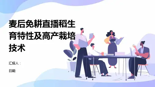 麦后免耕直播稻生育特性及高产栽培技术