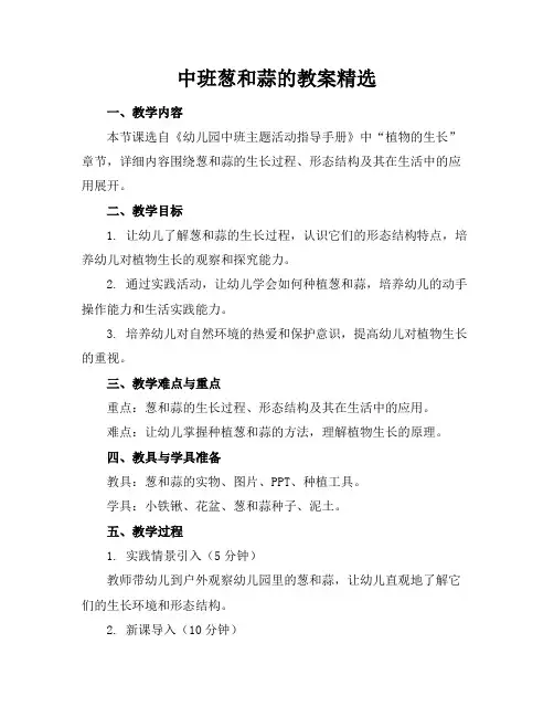 中班葱和蒜的教案精选