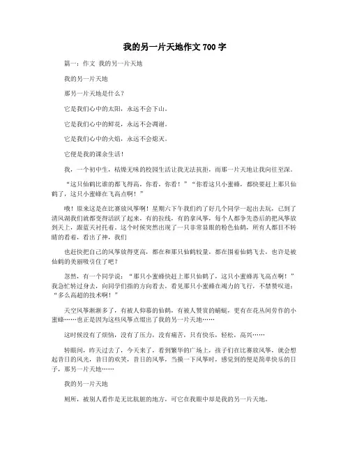 我的另一片天地作文700字