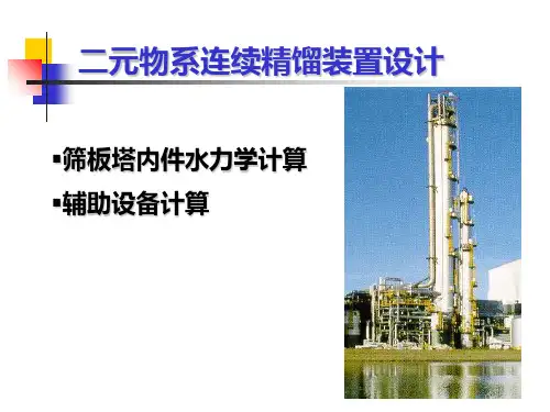塔板结构及辅助设备设计
