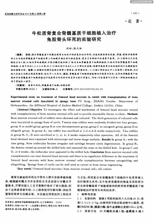 牛松质骨复合骨髓基质干细胞植入治疗兔股骨头坏死的实验研究,