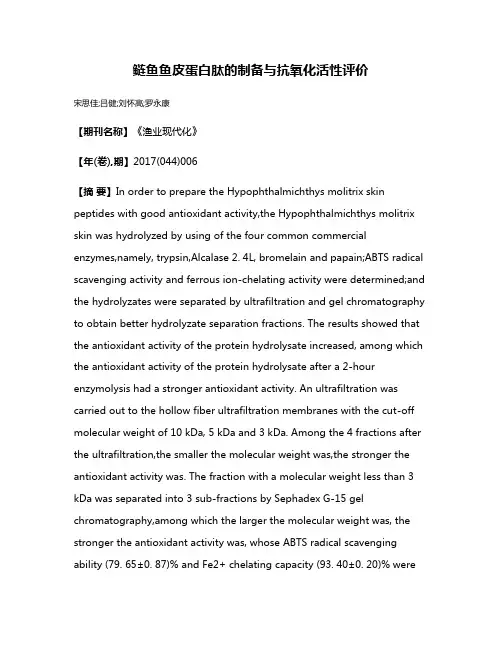 鲢鱼鱼皮蛋白肽的制备与抗氧化活性评价