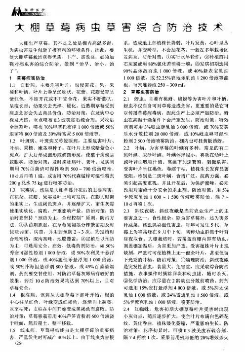 大棚草莓病虫草害综合防治技术