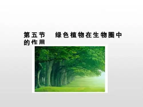 济南版七年级生物上册课件：第2单元 第1章 第五节 绿色植物在生物圈中的作用(共17张PPT)