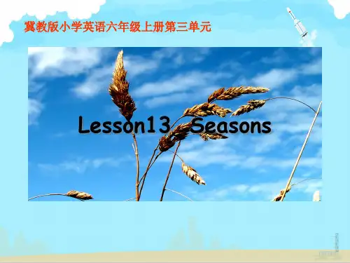 六年级英语上册课件Unit3Lesson13Seasons冀教版共10张