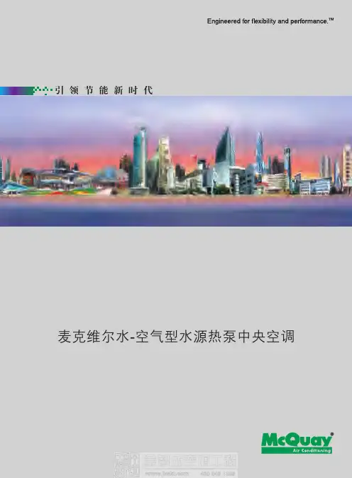 麦克维尔水空气型水源热泵中央空调