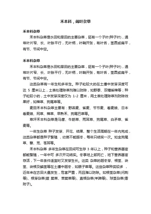 禾本科，阔叶杂草