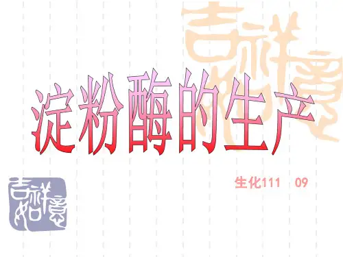淀粉酶的生产精品PPT课件