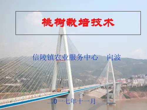 桃树的栽培技术